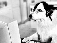 pic for computer dog
